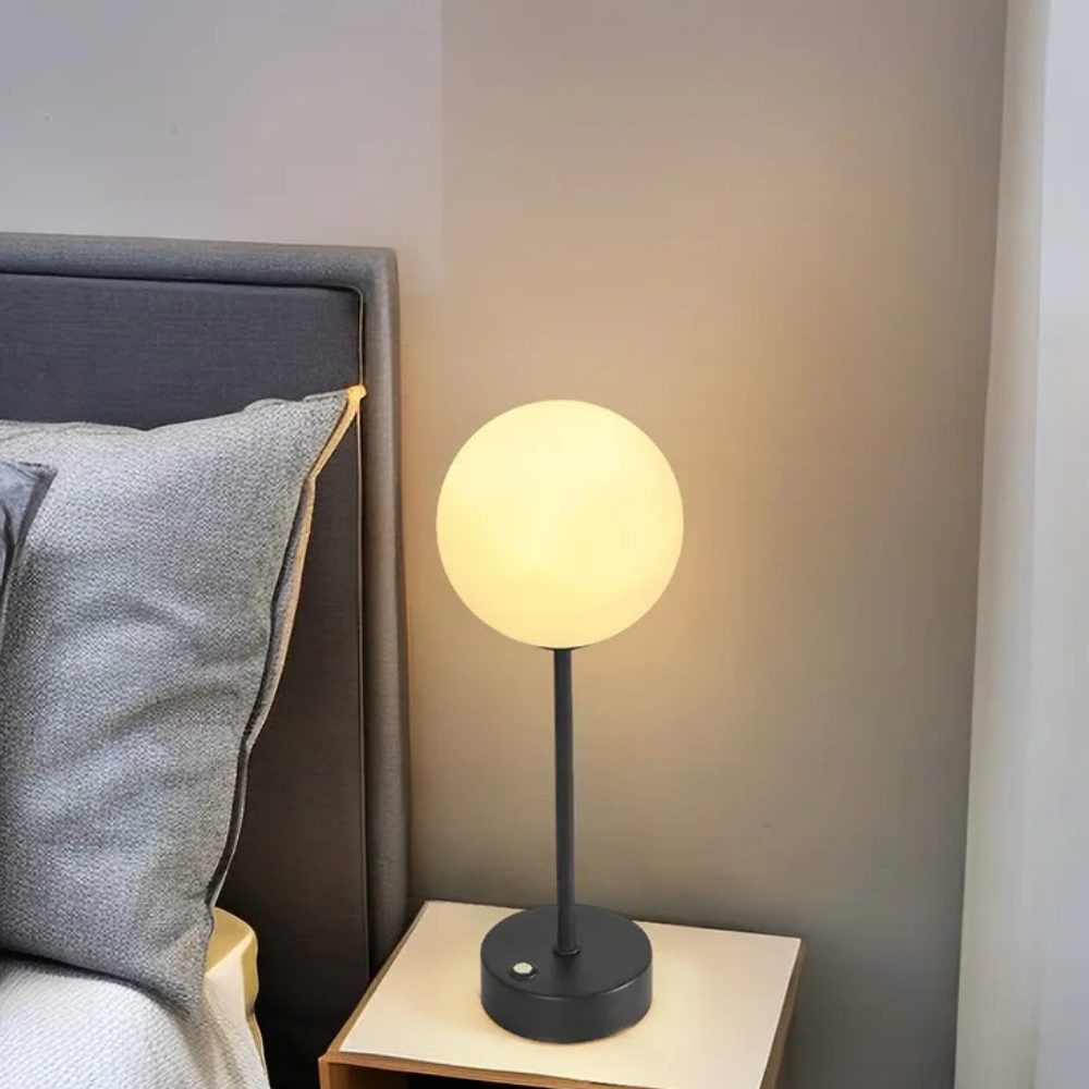 LED Lamp with Globe