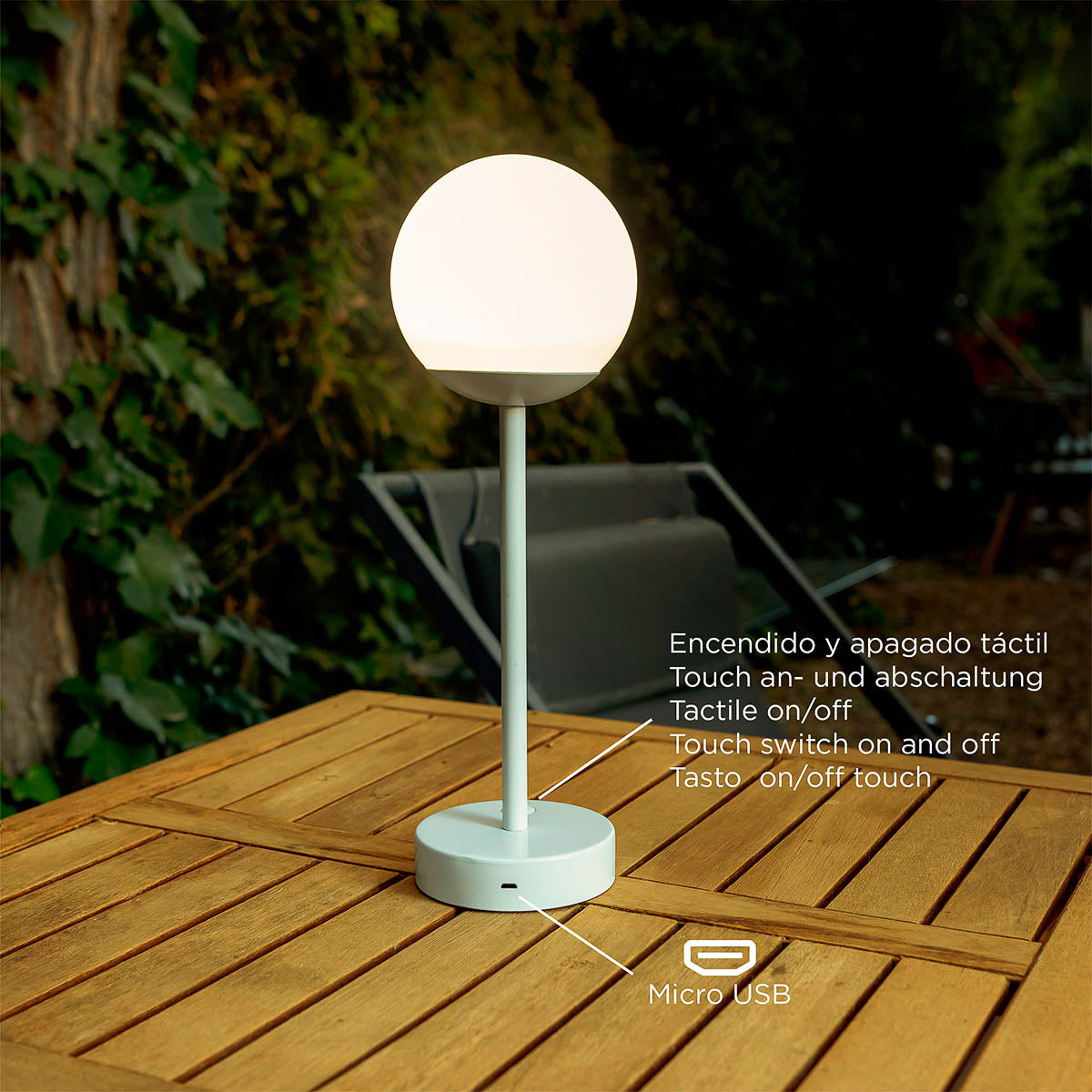 LED Lamp with Globe